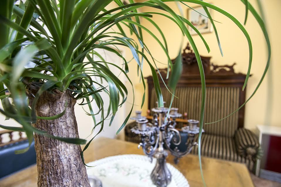 Luna Apartment โนวีซาด ภายนอก รูปภาพ